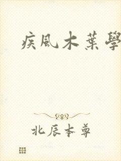 疾风木叶学园传