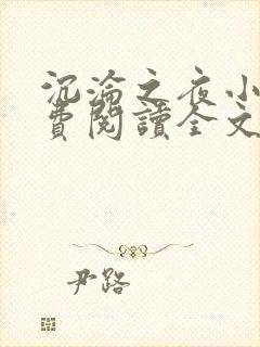 沉沦之夜小说免费阅读全文无弹窗