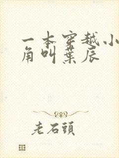 一本穿越小说主角叫叶辰