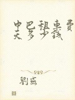 中巴租车费用一天多少钱