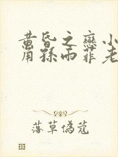 黄昏之恋小说主角孙雨菲老赵