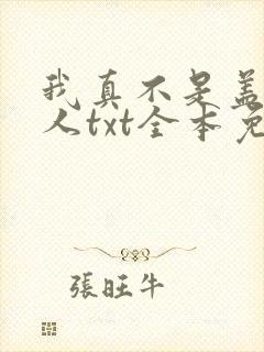我真不是盖世高人txt全本免费下载