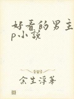好看的男主无cp小说