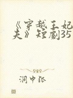 《穿越王妃要休夫》短剧35集