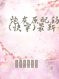 炮灰原配的人生(快穿)最新章节