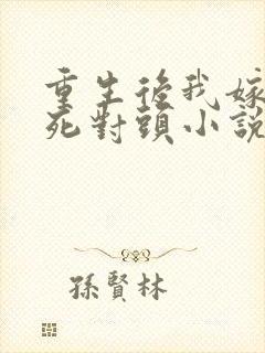 重生后我嫁给了死对头小说版