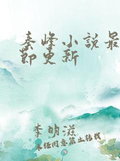 秦峰小说最新章节更新