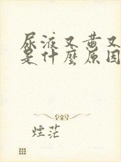 尿液又黄又浑浊是什么原因