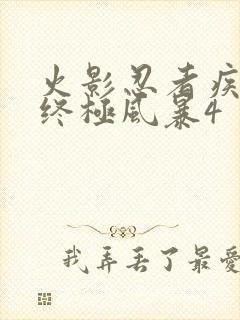 火影忍者疾风传终极风暴4