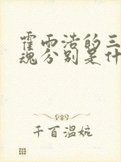 霍雨浩的三个武魂分别是什么