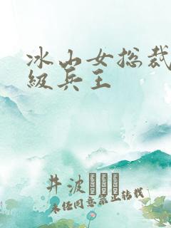 冰山女总裁的超级兵王