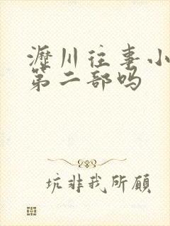 沥川往事小说有第二部吗