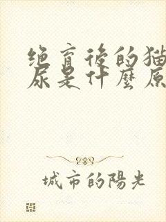 绝育后的猫咪乱尿是什么原因