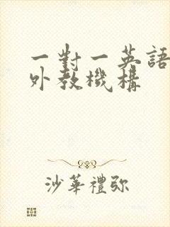 一对一英语少儿外教机构