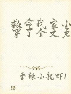 救命我家小姐被穿了全文免费阅读