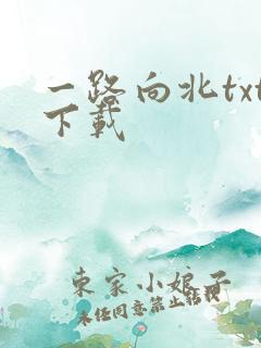 一路向北txt下载