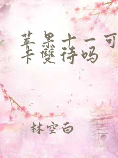 苹果十一可以双卡双待吗