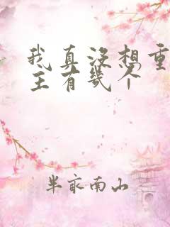 我真没想重生女主有几个