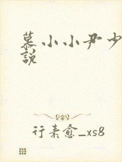 慕小小尹少桀小说