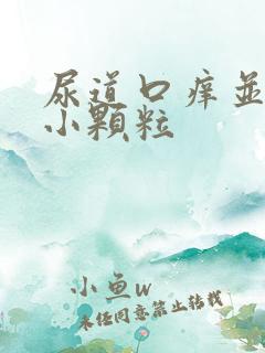 尿道口痒并且有小颗粒