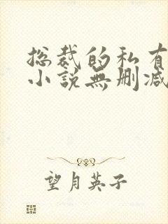 总裁的私有宝贝小说无删减