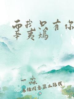 而我只有你ⅱ 辛夷坞