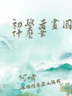 初学者画国画用什么笔