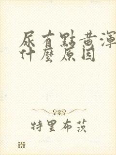 尿有点黄浑浊是什么原因