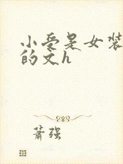 小受是女装大佬的文h