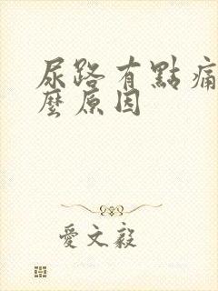 尿路有点痛是什么原因