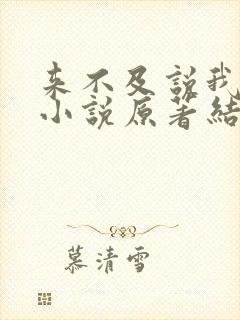 来不及说我爱你小说原著结局