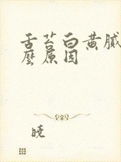 舌苔白黄腻是什么原因