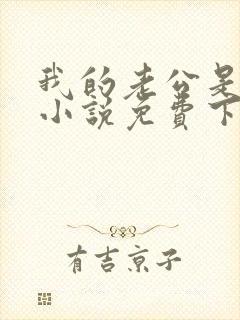 我的老公是冥王小说免费下载