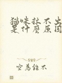 猫咪拉不出来尿是什么原因