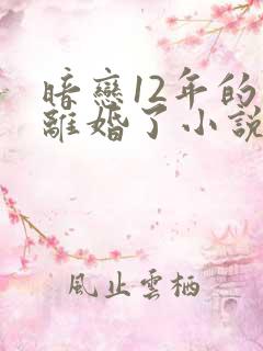 暗恋12年的他离婚了小说