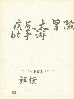 疾风大冒险游戏bt手游