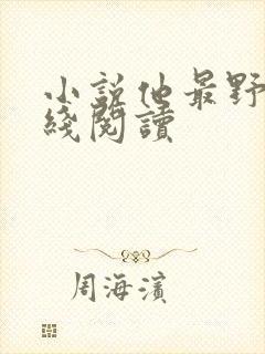 小说他最野了在线阅读