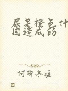 尿是橙色什么原因造成的