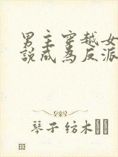 男主穿越女频小说成为反派