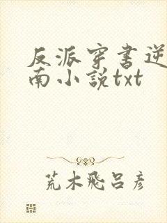 反派穿书逆袭指南小说txt