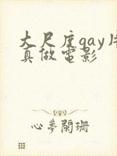 大尺度gay片真做电影