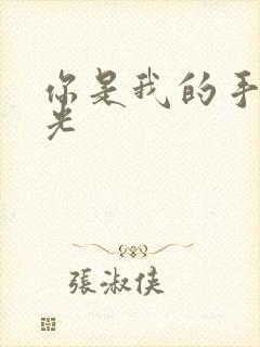 你是我的手冢国光