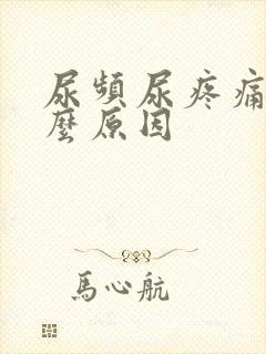 尿频尿疼痛是什么原因