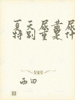 夏天尿黄尿骚味特别重是什么原因