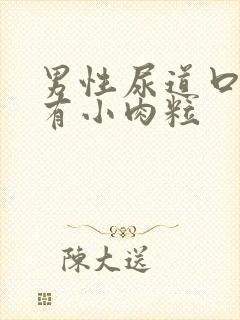 男性尿道口下方有小肉粒