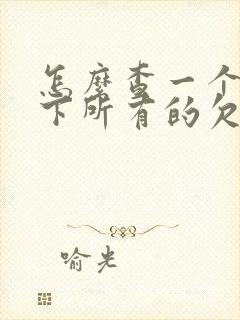 怎么查一个人名下所有的欠款