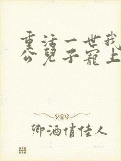 重活一世我把老公儿子宠上天短剧