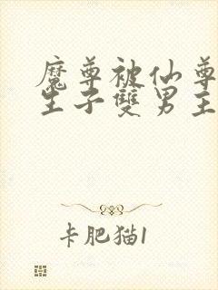 魔尊被仙尊囚禁生子双男主