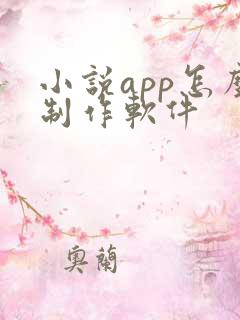 小说app怎么制作软件