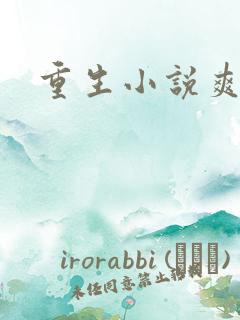 重生小说爽文